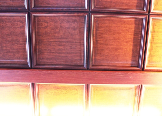 Drewno, takie jak Unleveled Artistic Ceiling Tiles ze stereofoniczną nierównością powierzchni
