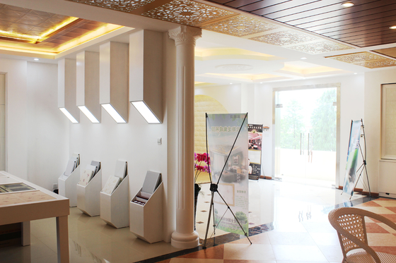 Klipsowe artystyczne plafony sufitowe do luksusowej dekoracji mieszkaniowej